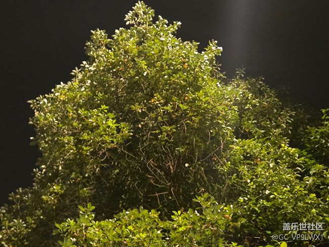 【四月春】四月時光