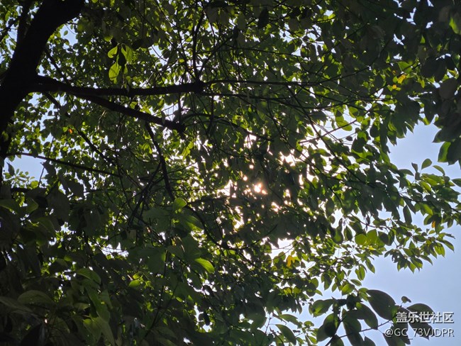 【四月春】喜愛春天