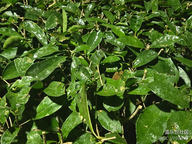 【四月春】四月時光