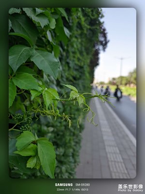 【快樂假日】+出行隨拍