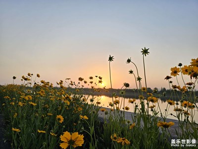 【快樂假日】五一放假