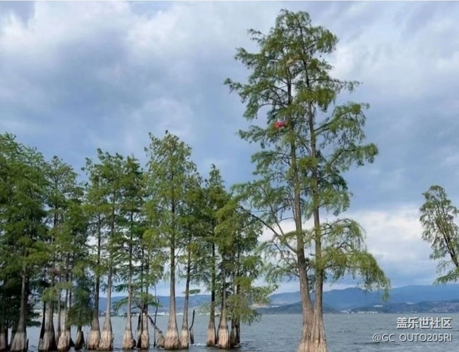 【五一出游】洱海