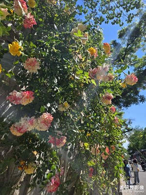 【快樂假日】+模式口文化村