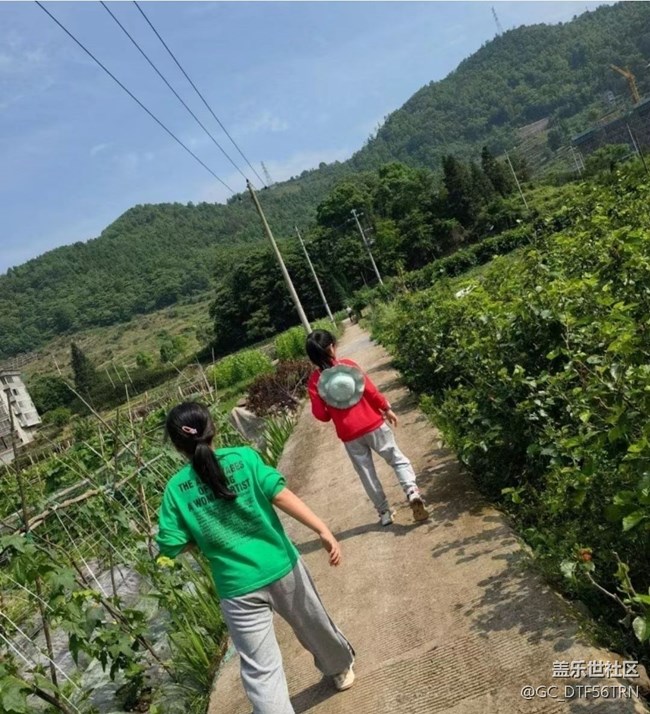 【夏日清涼】采摘