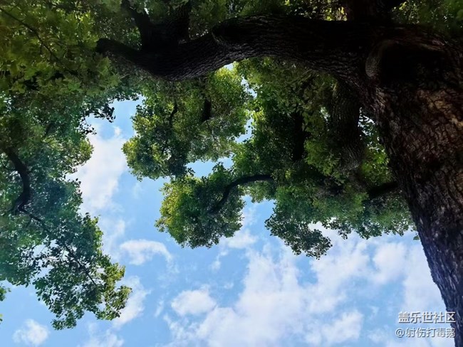 【五一出游】蘇州游玩