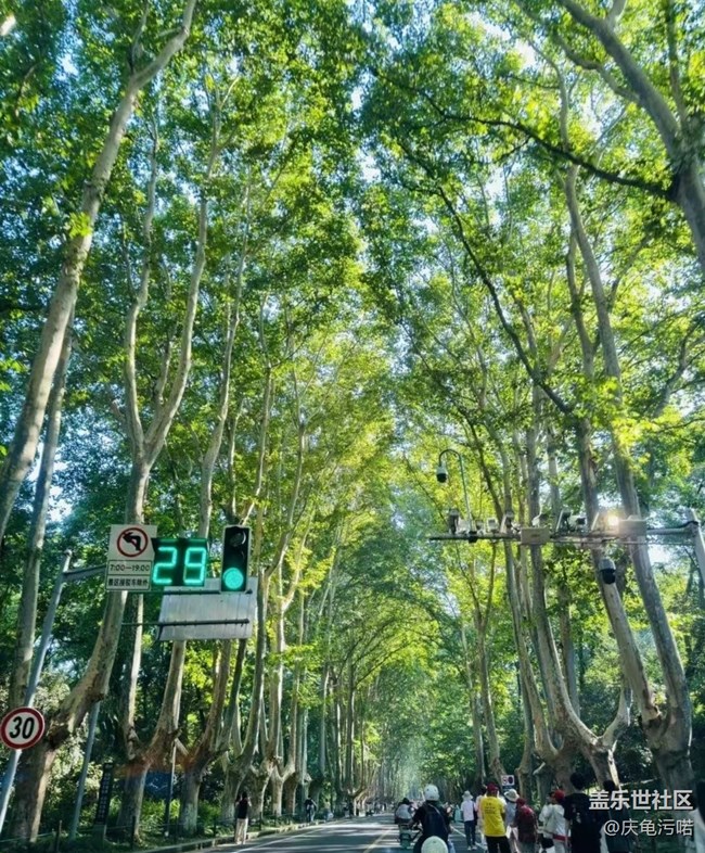 【帶上折疊屏過五一】南京半日游