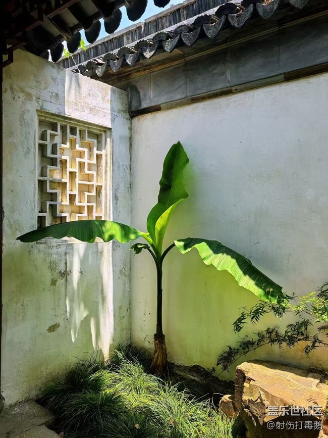 【五一出游】蘇州游玩