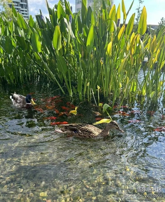 【夏日清涼】萬里晴空