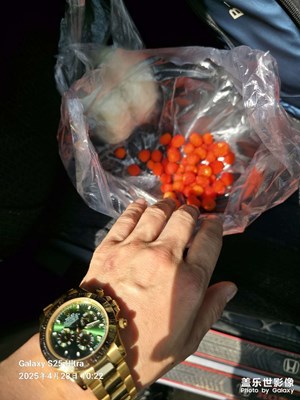 這種野果有吃過的嗎？