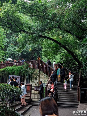 【快樂假日】假期小記?