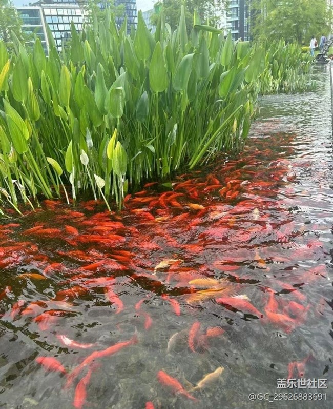 【夏日清涼】萬里晴空