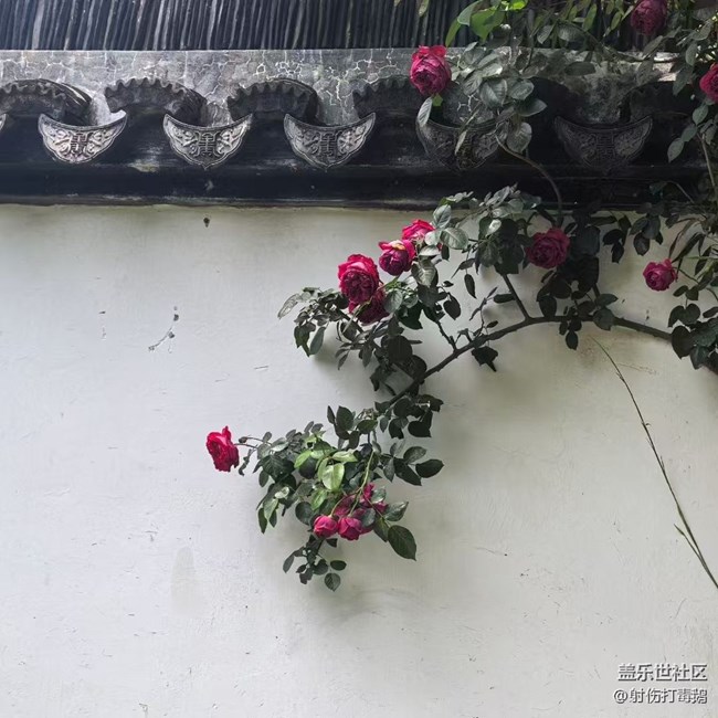 【五一出游】蘇州游玩