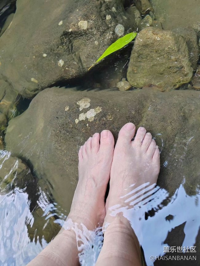 【夏日清涼】找清涼