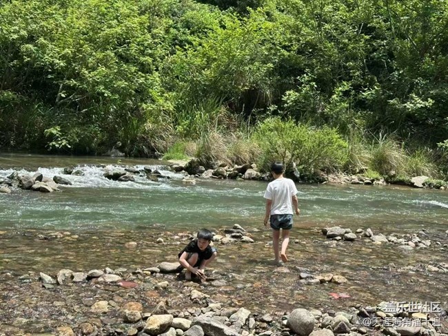 【夏日清涼】溪邊燒烤