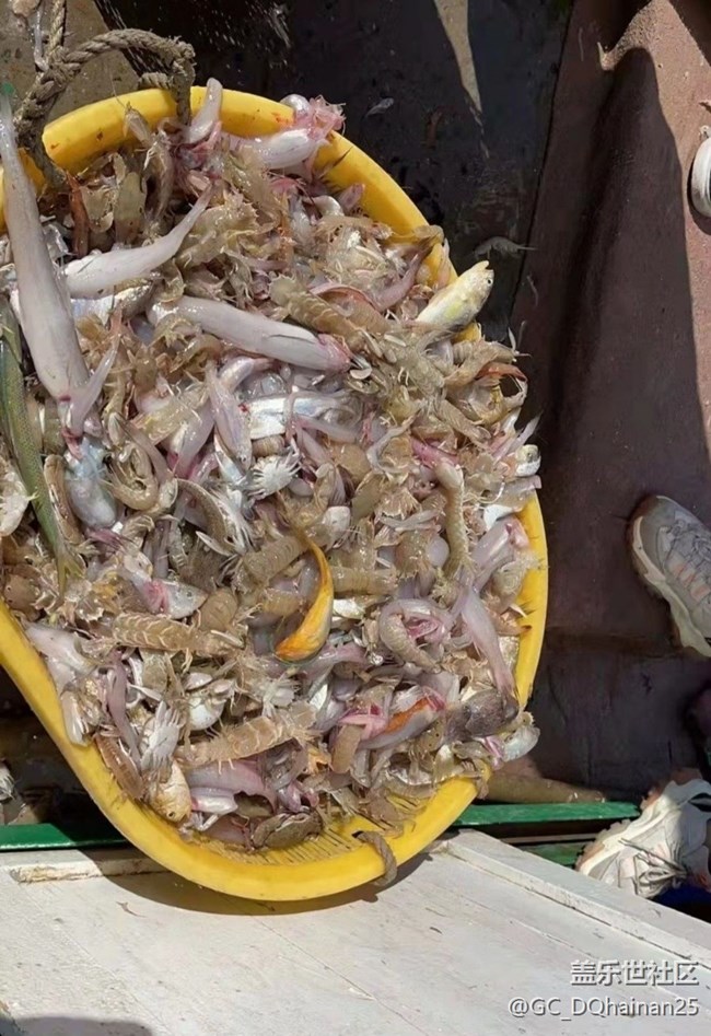 【夏日清涼】出海打魚