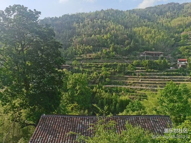 【帶上折疊屏過五一】回鄉(xiāng)