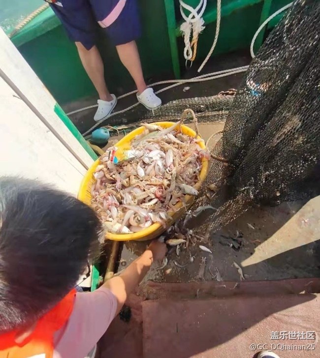 【夏日清涼】出海打魚