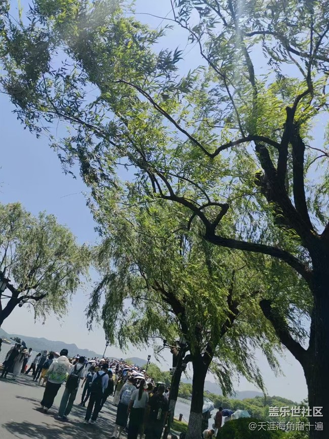 【帶上折疊屏過(guò)五一】杭州