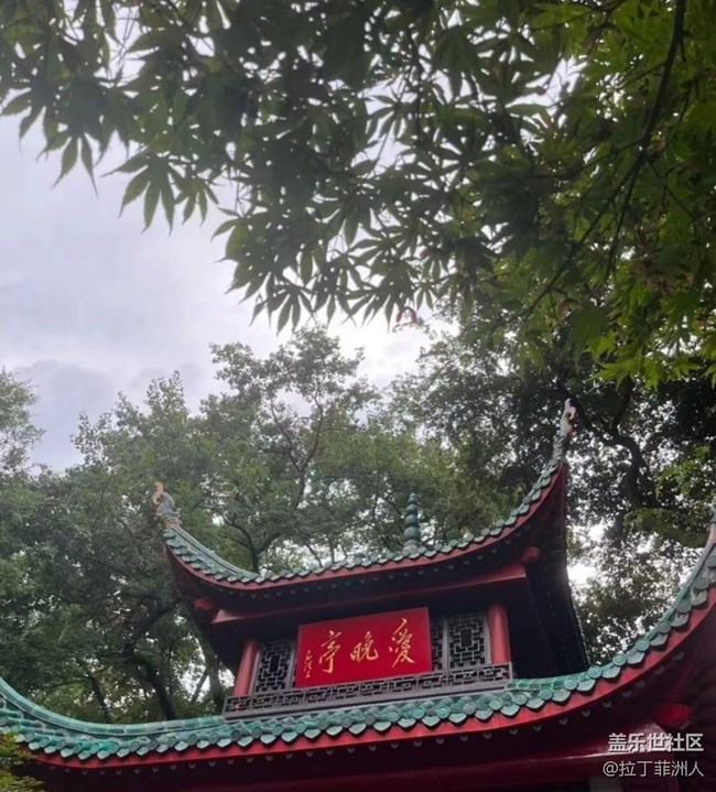 【夏日清涼】長沙鬧市