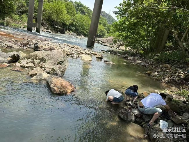 【夏日清涼】溪邊燒烤