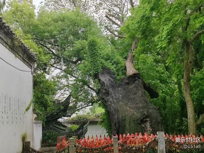 【五一出游】臺(tái)州府