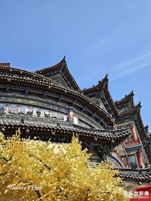 【快樂假日】+悠哉悠哉