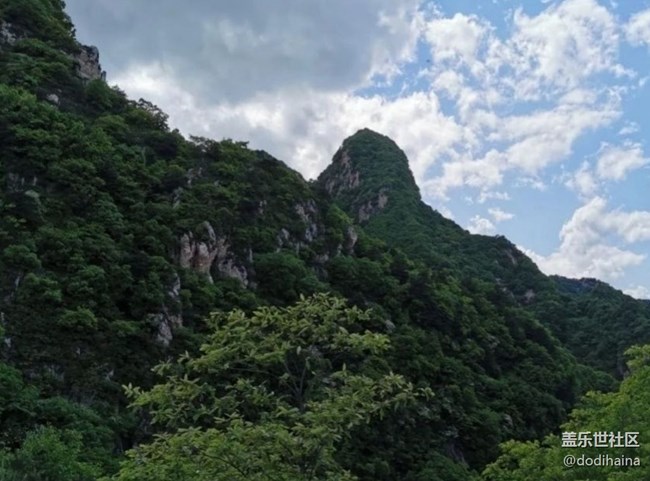 【夏日清涼】山頂美景