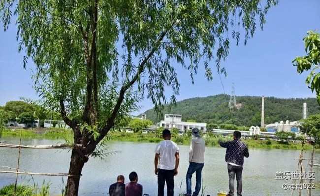 【生活碎片】周末垂釣