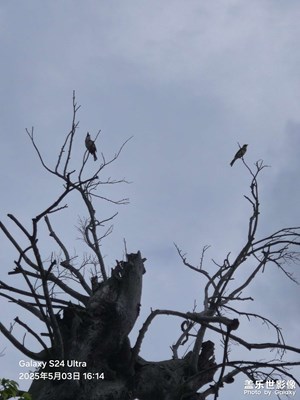 【快樂假日】溫馨舒適和諧共生