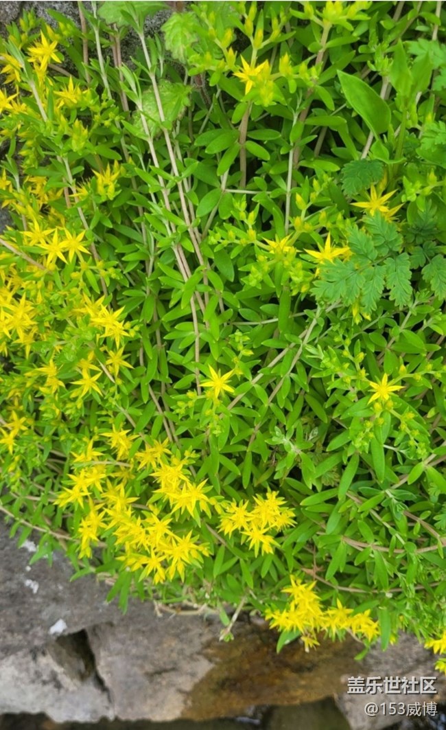 【夏日清涼】迎接夏天