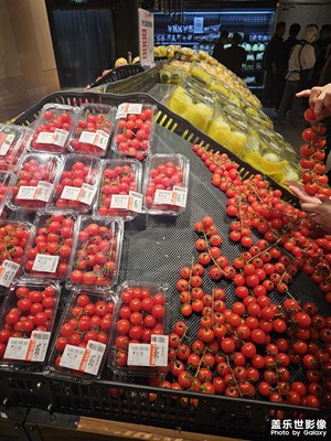 【快樂假日】+出行