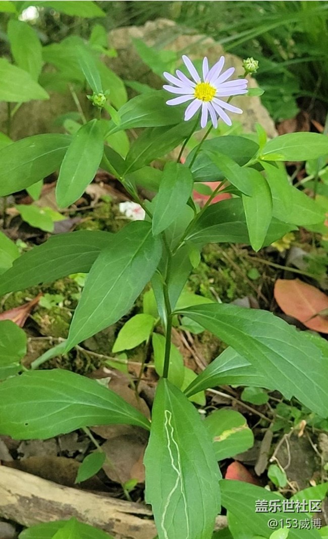 【夏日清涼】迎接夏天