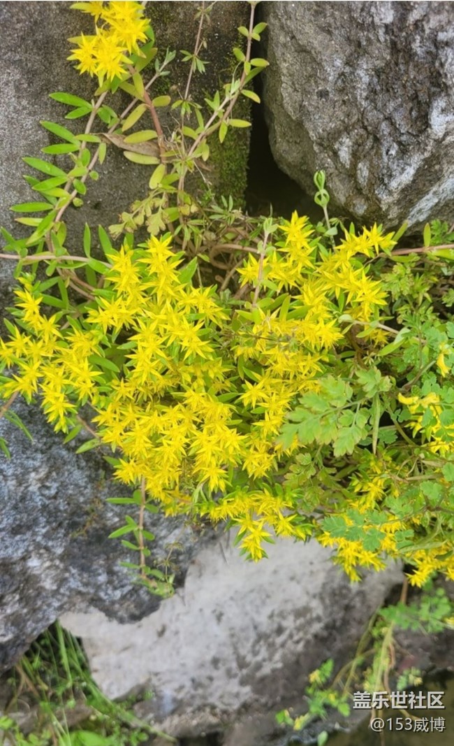 【夏日清涼】迎接夏天