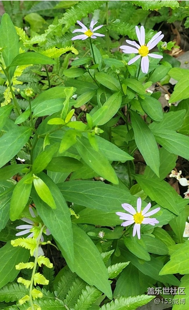 【夏日清涼】迎接夏天