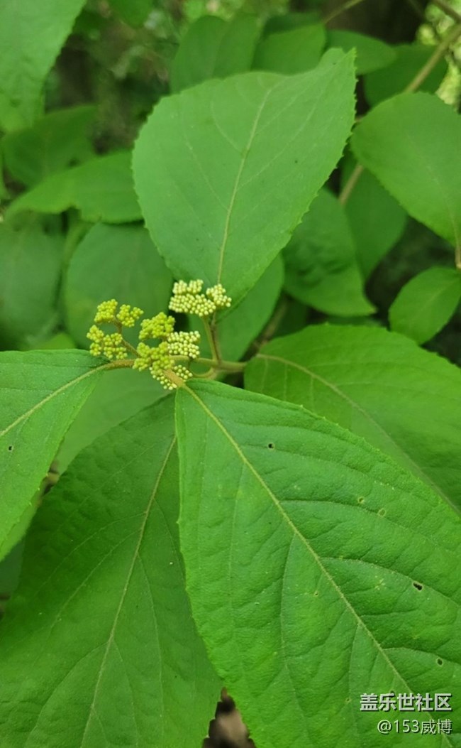 【夏日清涼】迎接夏天