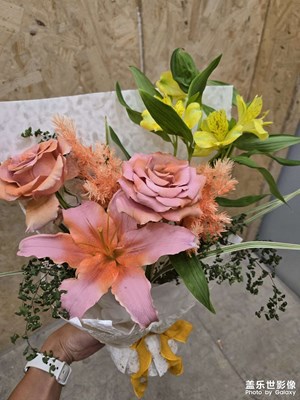 【快樂假日】快樂五一