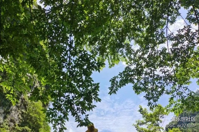 【夏日清涼】風(fēng)景好