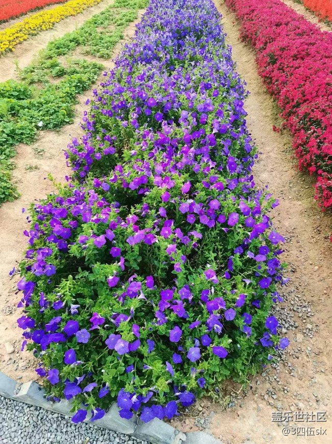 【五一出游】結(jié)束假期