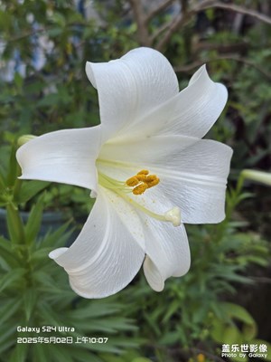 【快樂(lè)假日】回老家