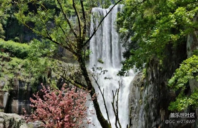 【夏日清涼】風(fēng)景好