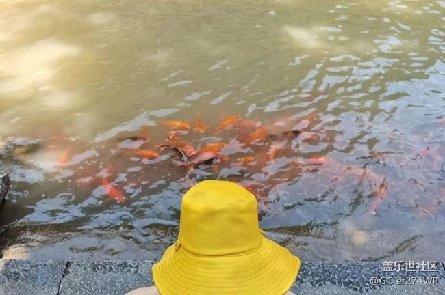 【夏日清涼】風(fēng)景好