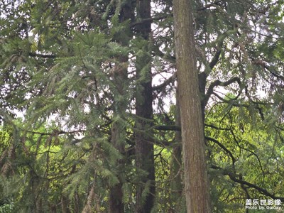 【快樂假日】+拍出精彩