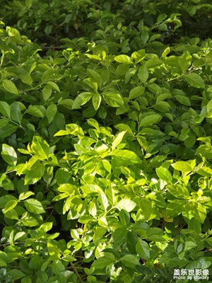 【快樂假日】五一