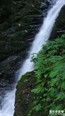 【快樂假日】+徒步神瀑溝看高山杜鵑