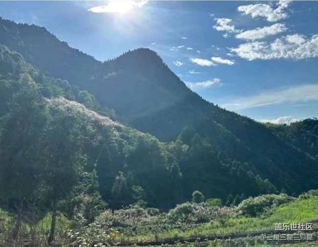 【夏日清涼】進山