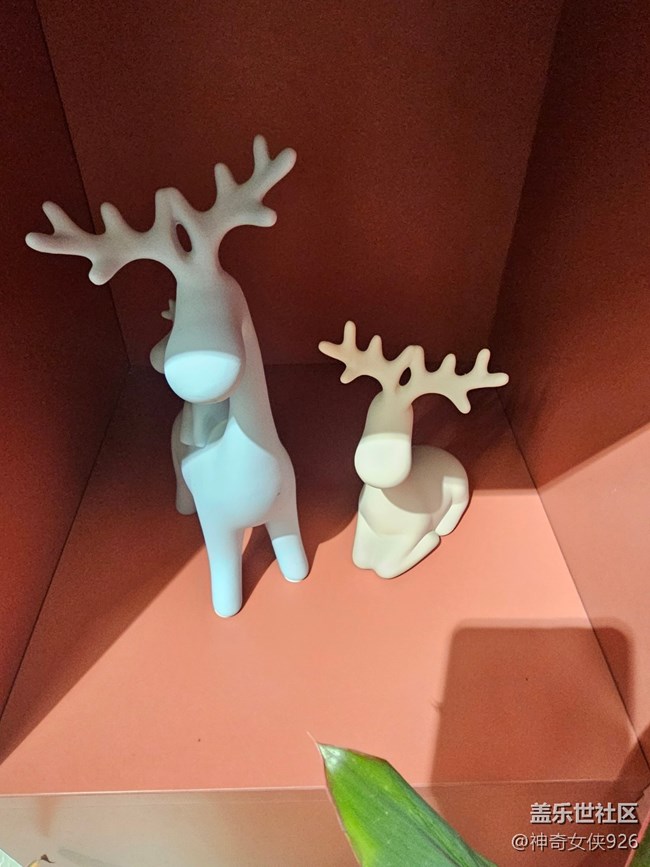 【 長焦與微距】動物