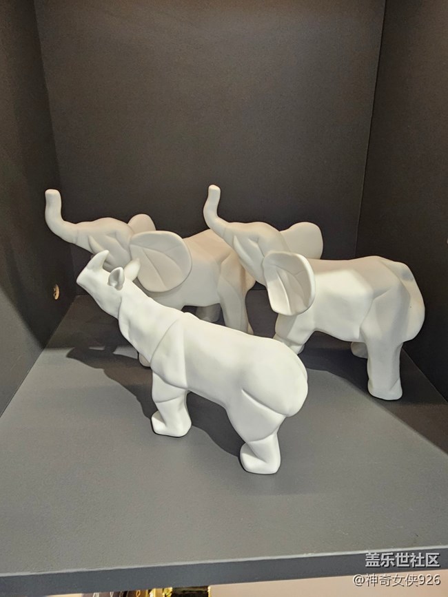 【 長焦與微距】動物