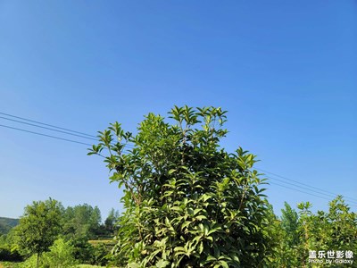 【快樂(lè)假日】回老家的快樂(lè)