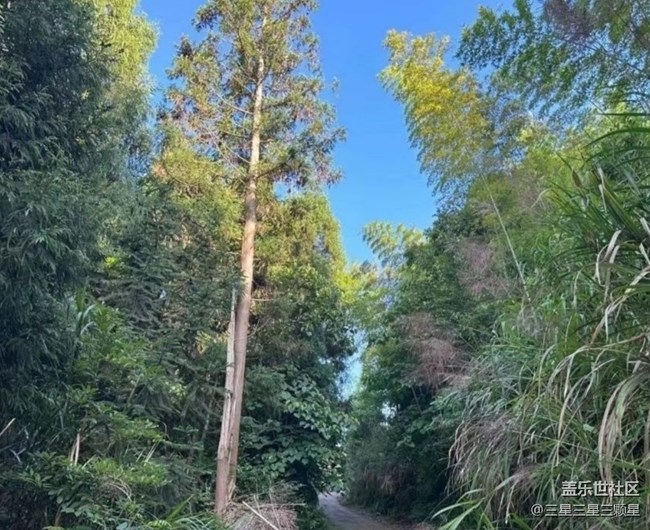 【夏日清涼】進山