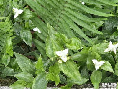 【快樂假日】+寧靜時光